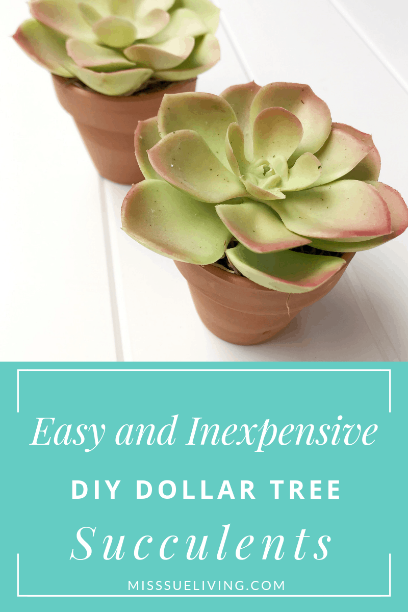 Easy and Inexpensive DIY Dollar Tree Succulent, diy dollar tree succulent planter, diy dollar tree decor, diy dollar tree, diy dollar tree crafts, diy dollar tree crafts 2019, diy dollar tree home decor, dollar tree succulent ideas, succulent decor ideas, dollar tree succulents diy, #diydollartree, #diysucculents, #diyhomedecor, #diysucculent #diyplanter #mommycrafts #mommyblog #momblogger #homedecorations