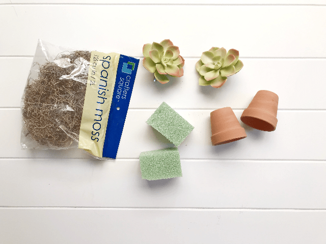 Easy and Inexpensive DIY Dollar Tree Succulent, diy dollar tree succulent planter, diy dollar tree decor, diy dollar tree, diy dollar tree crafts, diy dollar tree crafts 2019, diy dollar tree home decor, dollar tree succulent ideas, succulent decor ideas, dollar tree succulents diy, #diydollartree, #diysucculents, #diyhomedecor, #diysucculent #diyplanter #mommycrafts #mommyblog #momblogger #homedecorations